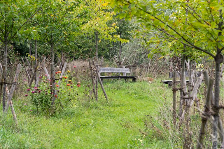 Natur in Gärten