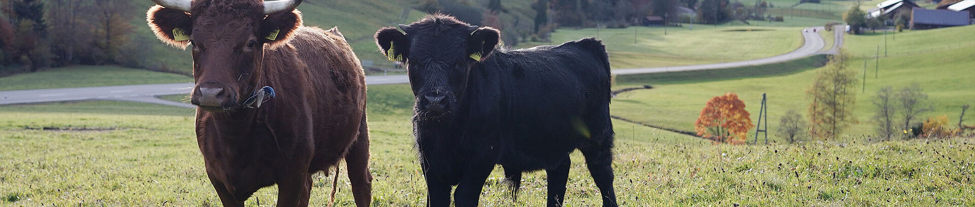 Impressionen Heimatunternehmen Allgäu