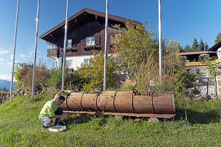 Chefsache: Kräuter sammeln